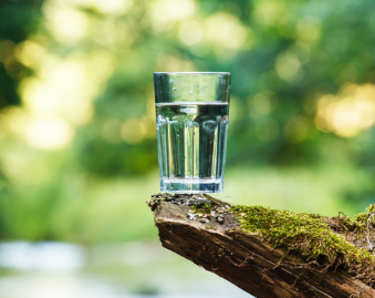 Glass of clean water placed on a moss-covered tree branch, symbolizing the transition from water crisis to water security in harmony with nature