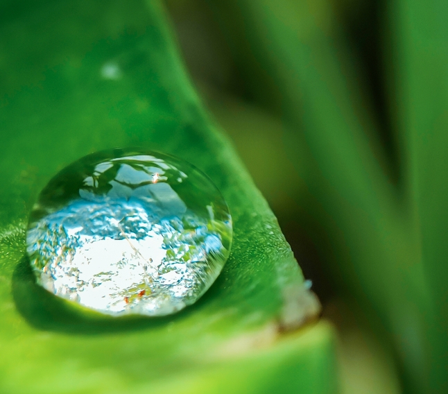 Close-up of a water droplet on a green leaf symbolizing Rainmaker’s commitment to sustainability and clean water solutions