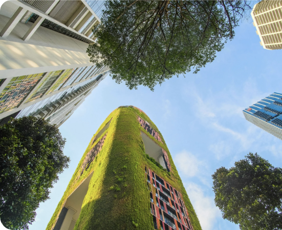 Let Us Build a Better Future Together